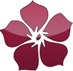 Perfumy Kwiatowe